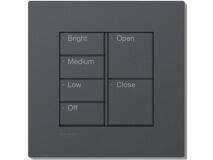 LUTRON RA3 2C 4B/2B Intensity BLACK