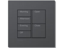 LUTRON RA3 2C 4B/2B Time Of Day BLACK