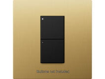LUTRON RA3 Single Faceplate BRUSHED BRASS