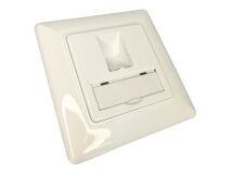 (1) BLAKE Keystone - 1 Port Outlet Plate